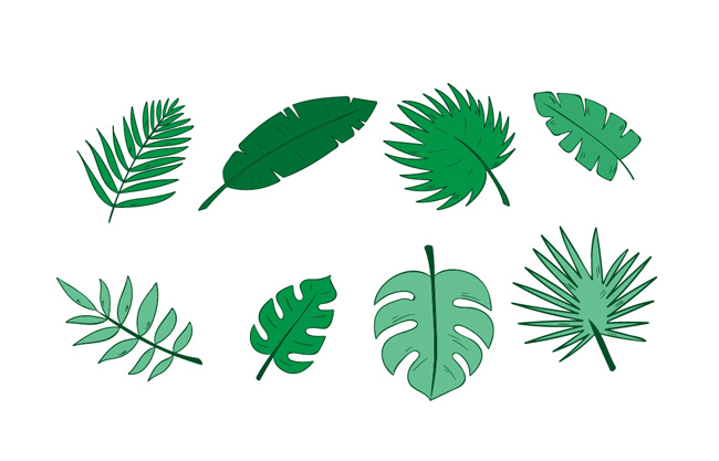 各种形状绿色手绘棕榈叶子矢设计矢量素材