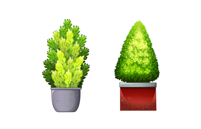 景观园艺植物树木树叶AI素材
