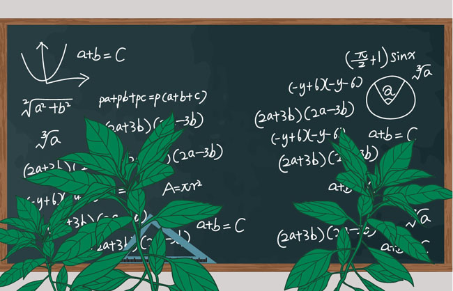 卡通黑板植物背景素材下载