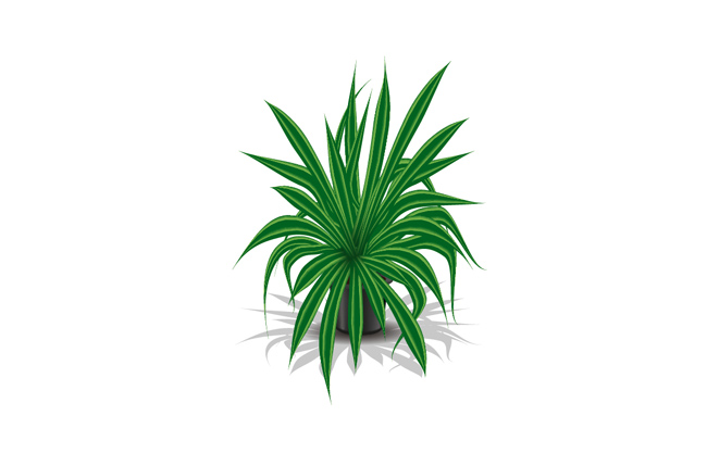 兰花绿色小盆栽矢量植物卡通