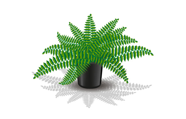 蕨类绿色矢量盆栽植物卡通素材