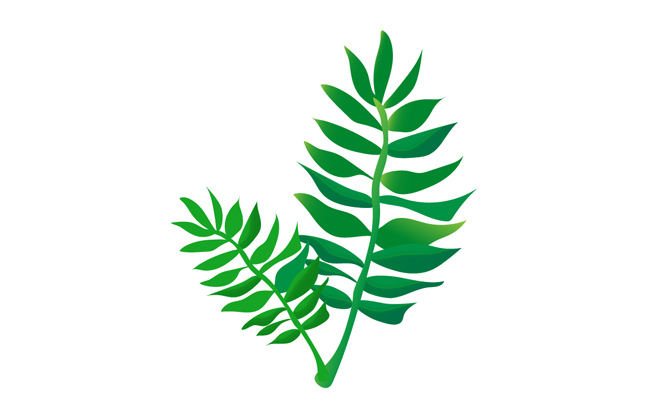 绿色植物矢量叶子素材