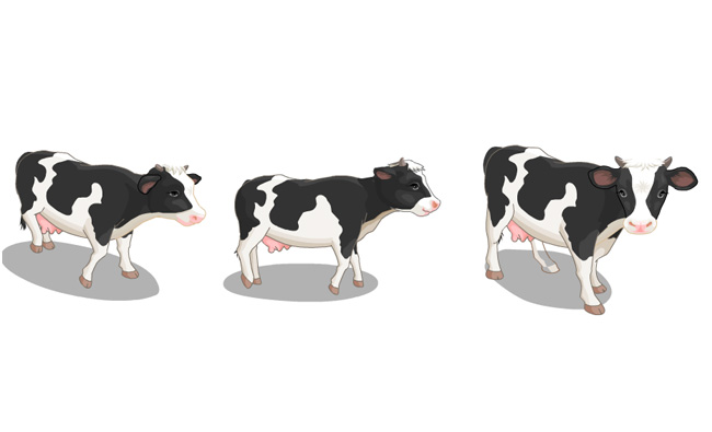 侧面的奶牛走路摇头的动作设计动画短片素材