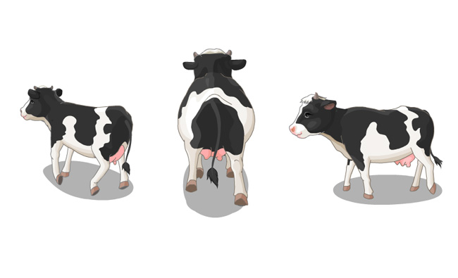 背面走路的奶牛动画动作素材