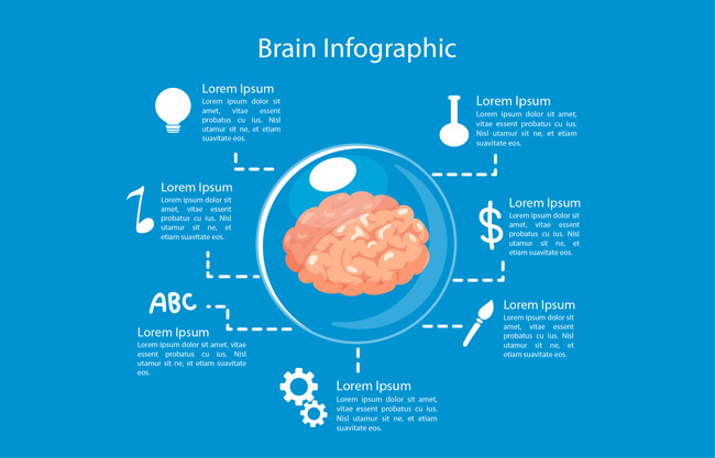 扁平化 大脑信息组合图