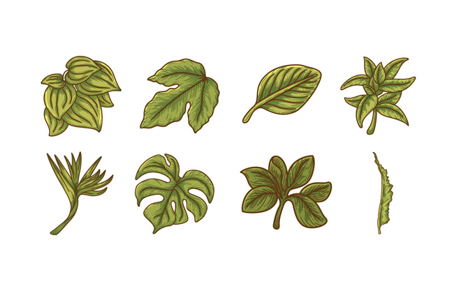 手绘绿叶叶子装饰图案AI素材
