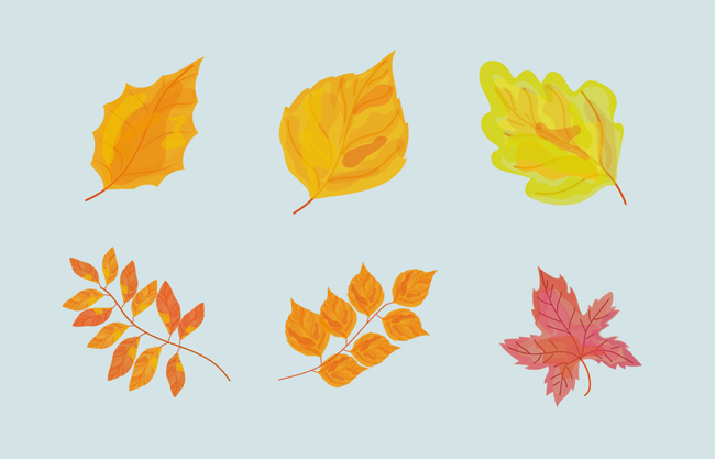 秋季漂亮叶子设计AI素材