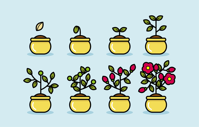 手绘矢量植物播种生长开花过程插画素材