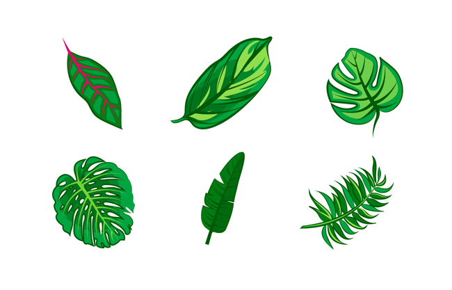 创意卡通手绘树叶绿叶元素素材设计