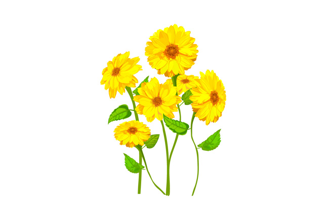 手绘水彩植物黄色菊花AI素材