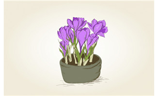 手绘紫色花卉盆栽矢量设