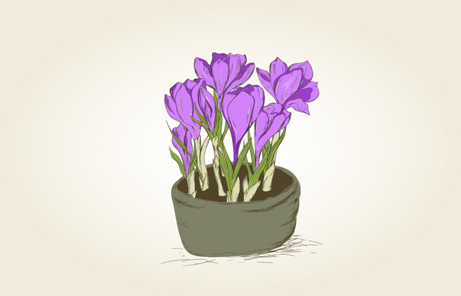 手绘紫色花卉盆栽矢量设计素材