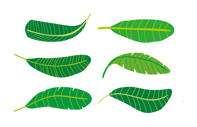 卡通绿植香蕉芭蕉元素叶子素材设计