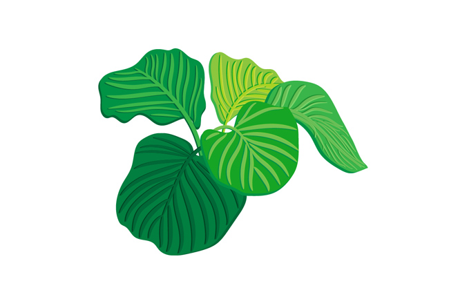 绿植绿叶设计AI素材下载