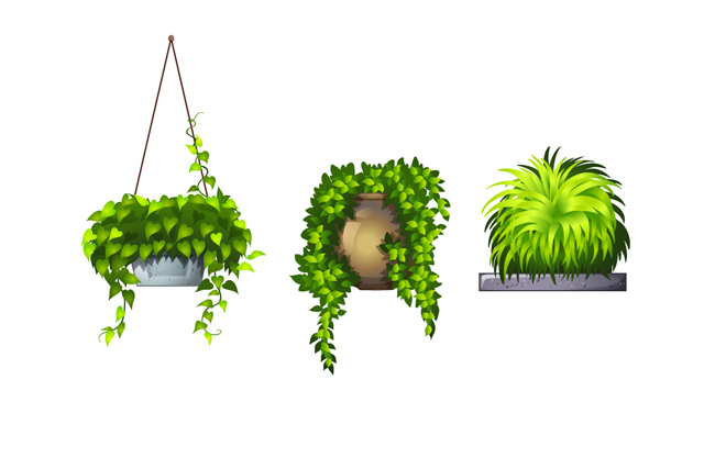 园艺植物景观盆栽素材设计