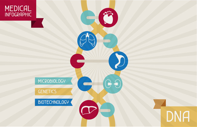 DNA彩色信息设计图表图