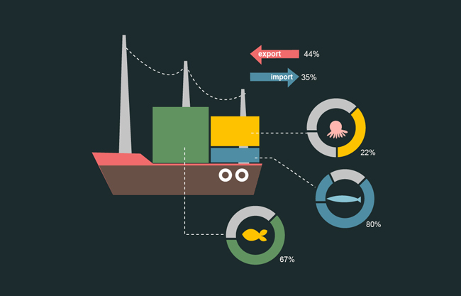 船只捕捞分类占比百分比数据图