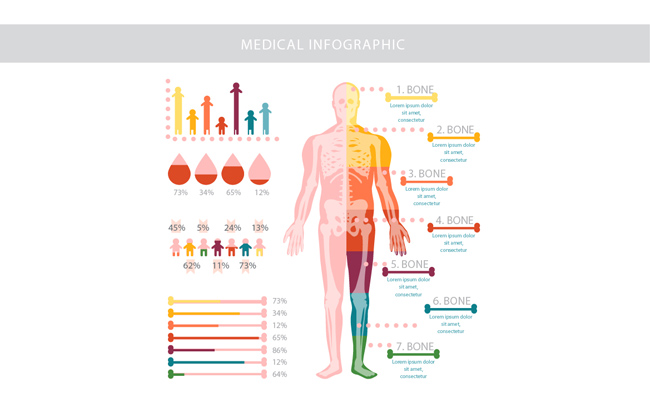 彩色人体医学结构名称信息图表
