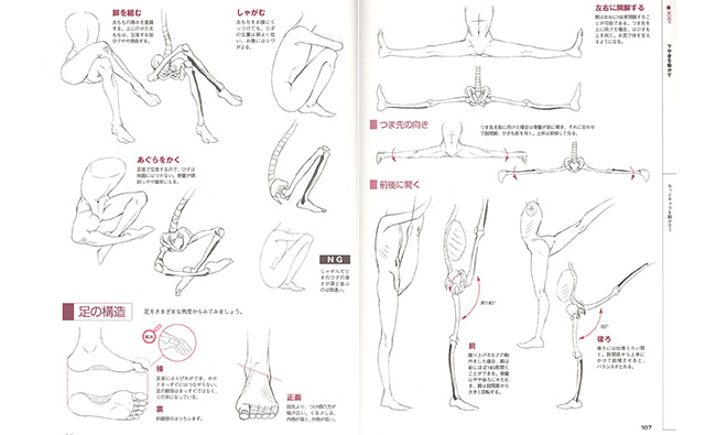 人物速写创作人体骨骼结构对比图参考资料