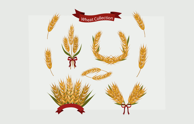 创意小麦组合的标志造型设计