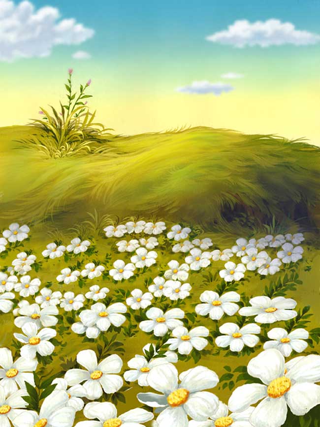 漫山遍野白色野花手绘动画背景设计