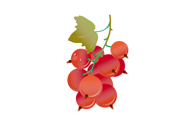 红梅矢量水果素材设计
