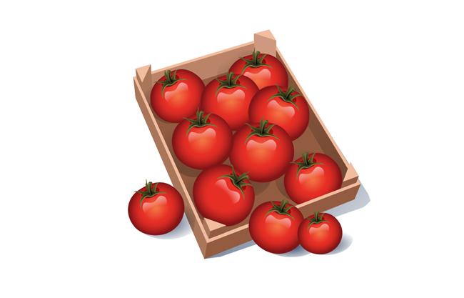 红色精美西红柿矢量素材