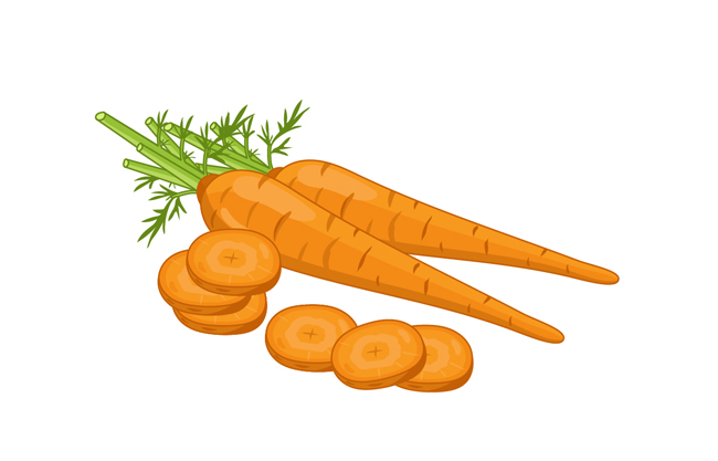 胡萝卜矢量设计素材
