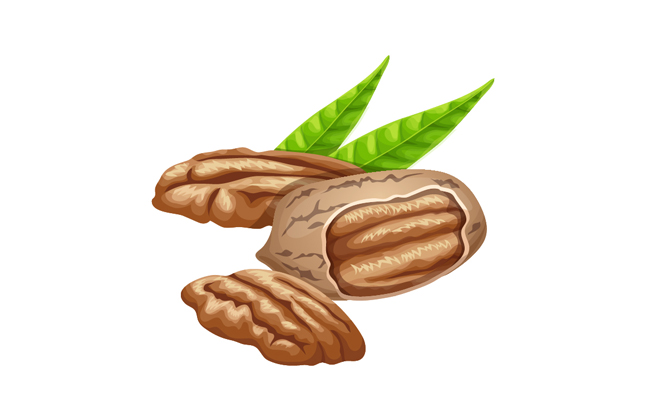 卡通碧根果坚果矢量素材
