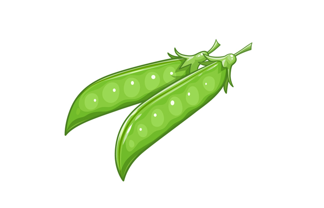绿色卡通豌豆蔬菜AI素材
