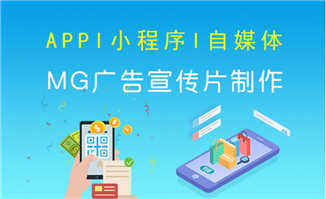 APP、小程序平台动漫MG宣传片制作服务