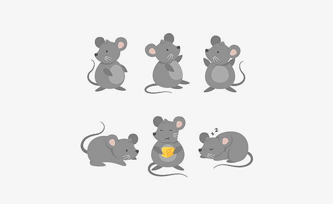 可爱的卡通动漫老鼠形象设计