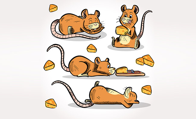 一组老鼠吃食物的动作矢量素材