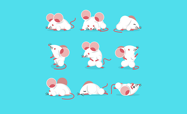 一组可爱的卡通动漫老鼠表情包素材