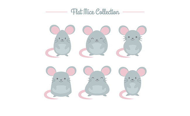一组胖瘦不均的老鼠卡通动漫形象设计