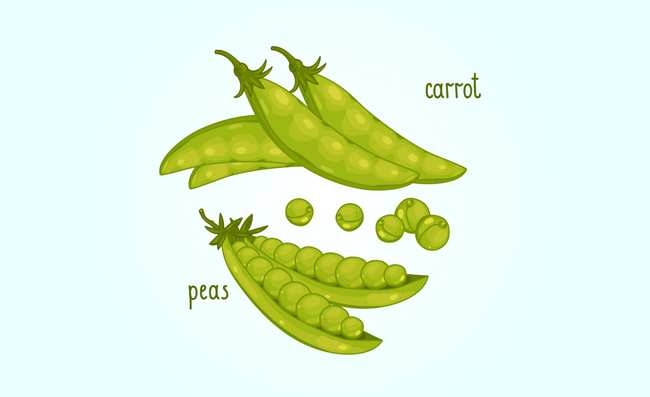 绿色豌豆蔬菜素材下载