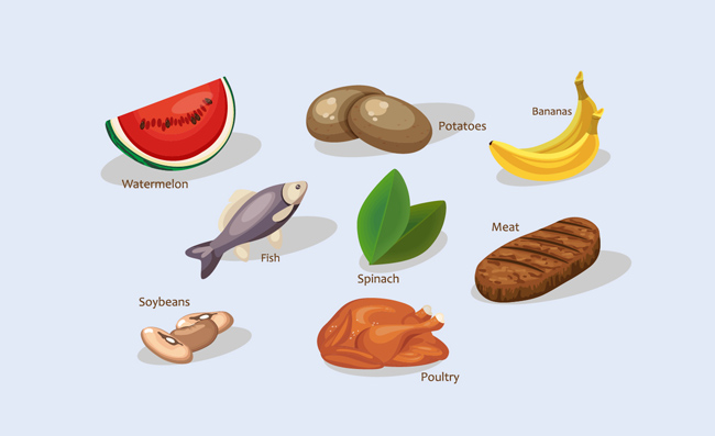 食物食材矢量手绘蔬菜图标设计元素
