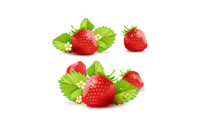 新鲜草莓矢量素材