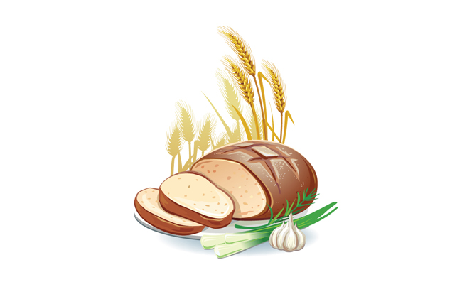 小麦面包粗粮食品素材矢量