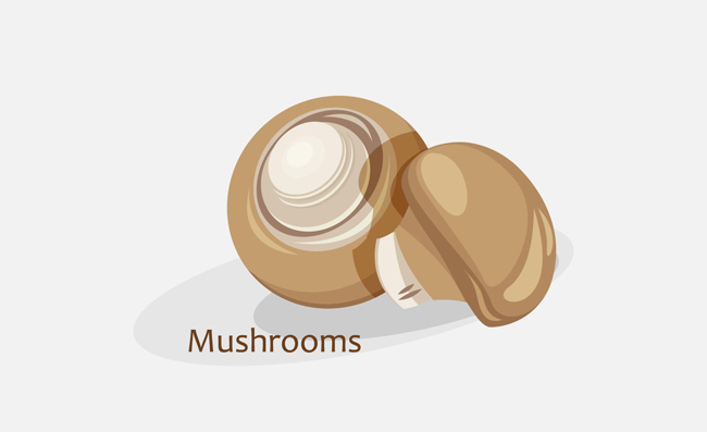 野生蘑菇素材