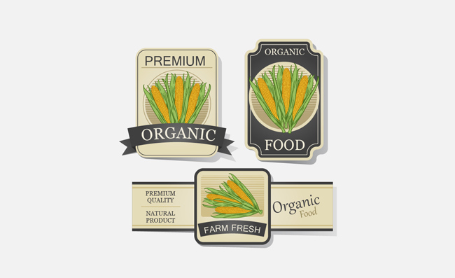 有机农产品彩绘玉米矢量图