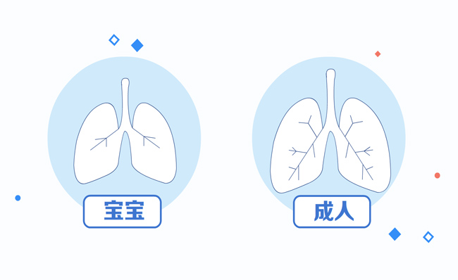 儿童肺部和成人肺部对比动画视频模板素材