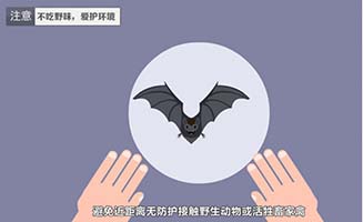 不吃野味爱护环境预防病