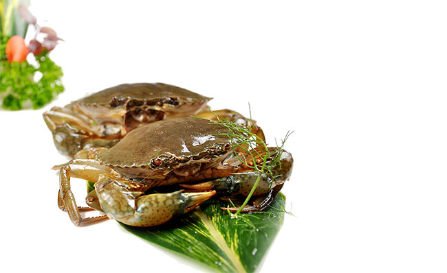 螃蟹生鲜美食高清图片素材
