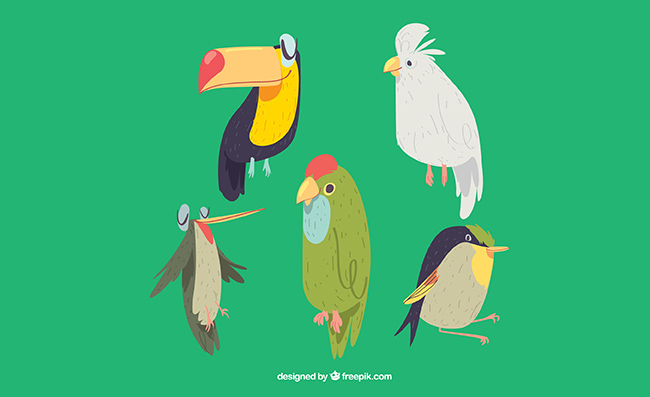 5款手绘鸟类设计矢量素材