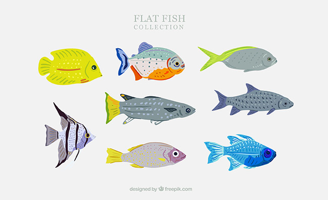 彩色扁平化鱼类矢量素材
