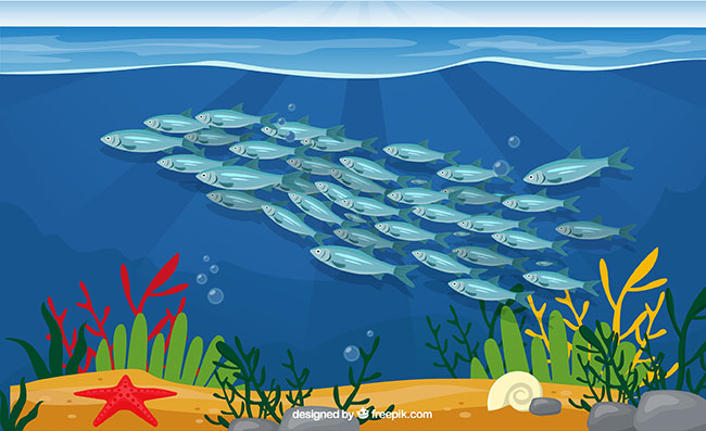海底美丽银色鱼群矢量素材