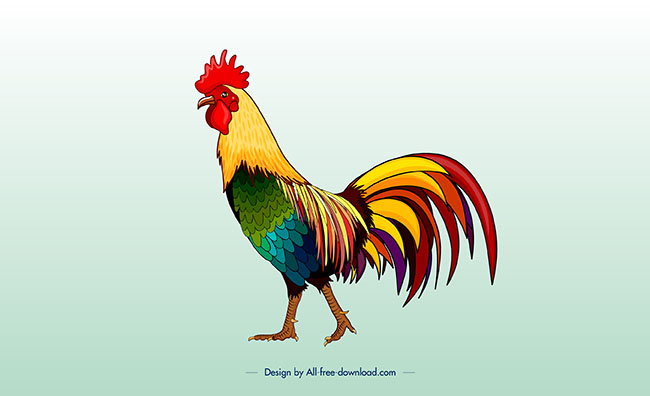 美丽的大公鸡动物设计矢量素材