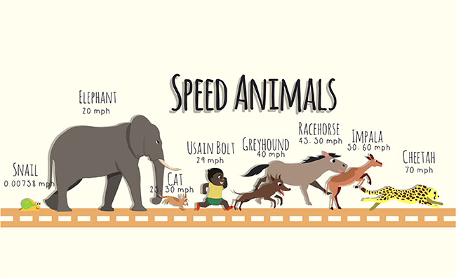 动物赛跑动作手绘动漫插画背景设计