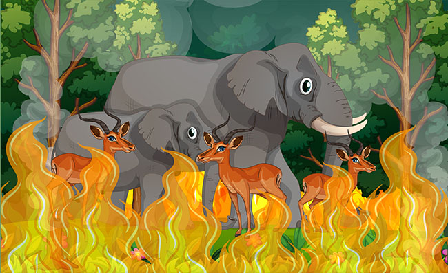 森林失火被困住的动物大象鹿矢量素材
